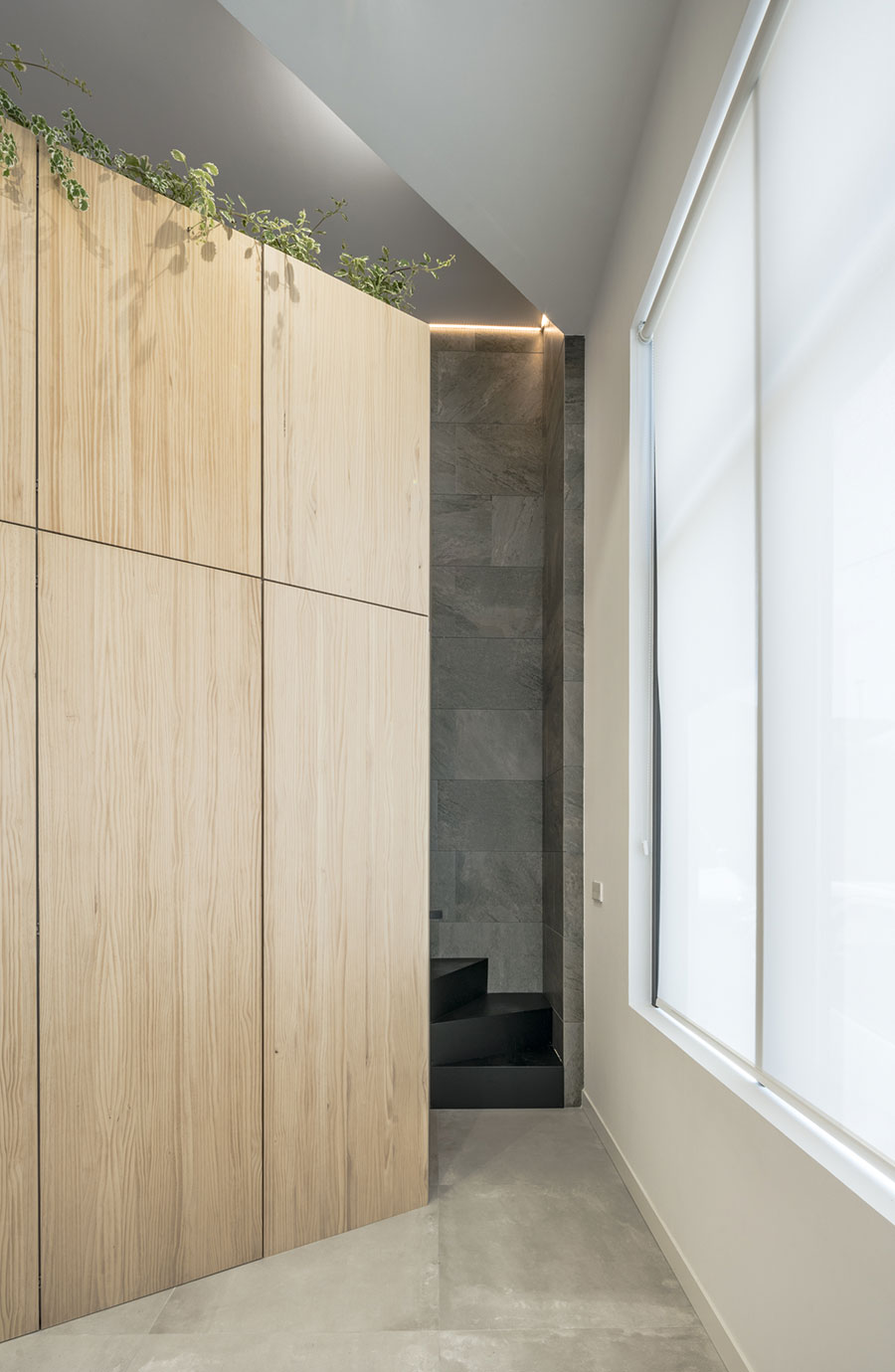 Estudio LMV Arquitectos