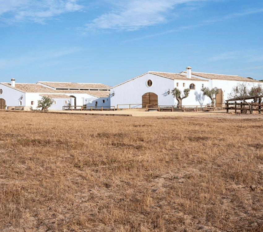 Finca para caballos. Lea Vicens